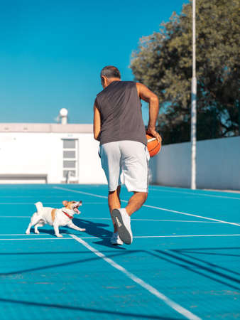 Portrait from a back of senior adult man holding a sport ball playing basketball together with cute dog jack russel terrier on blue color playground outdoor at summer sunny dayの写真素材
