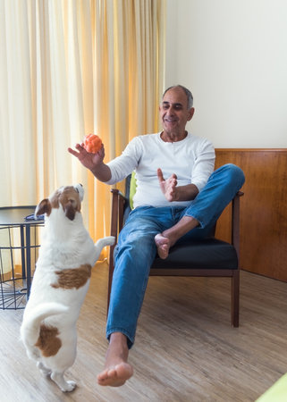 Elderly man bonding with Jack Russell terrier at homeの写真素材