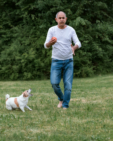 Senior Man Teases Dog with Ball on Summer Lawnの写真素材