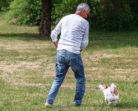 Senior Man Standing Back Playing Fetch with Jack Russell Terrier on Summer Grassの写真素材