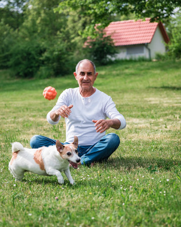 Senior man sitting on grass throwing a ball to running Jack Russell terrier barking excitedly, summer garden sceneの写真素材