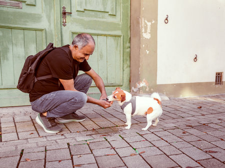 Senior man giving water to dog during summer walk in historic town, active lifestyle and pet careの写真素材