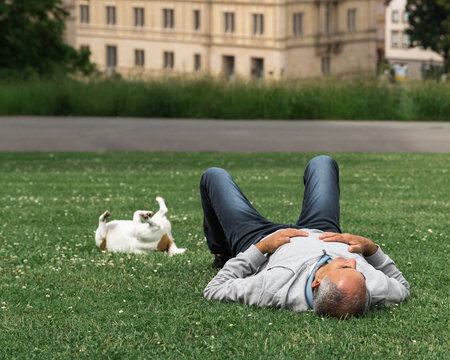 Elderly man lying on lawn with dog near Ehrenburg Palace in Coburg, travel and companionshipの写真素材