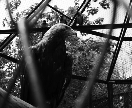 The photo was taken in a zooの写真素材