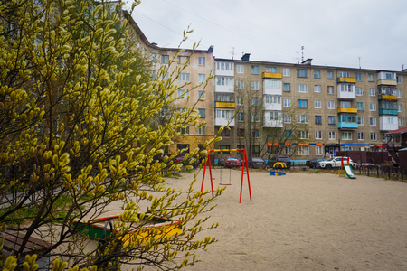 Spring in the yardの写真素材