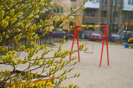 Spring in the yardの写真素材