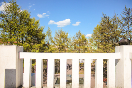 White perillaの写真素材