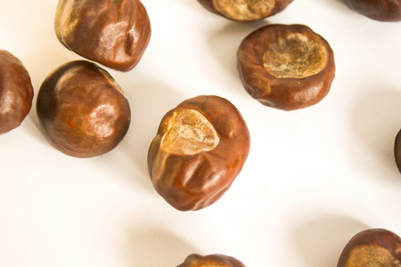 Dried chestnuts on white backgroundの写真素材