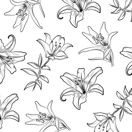 Lily flower detailed contour pattern vectorのイラスト素材