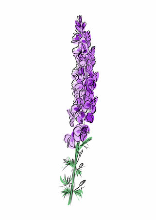 Pink larkspur flower with green leavesのイラスト素材