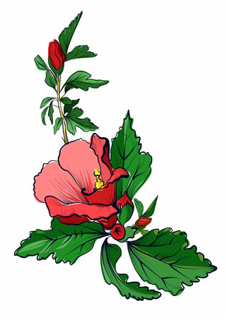 Hand drawn red hibiscus flower with green leavesのイラスト素材