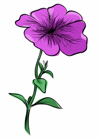 Hand-drawn illustration of purple petunia flowerのイラスト素材