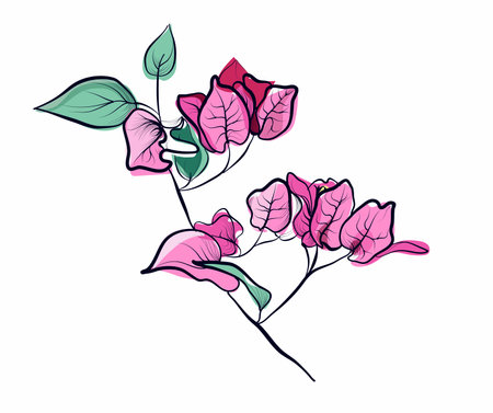 Bougainvillea branch with pink and red flowersのイラスト素材