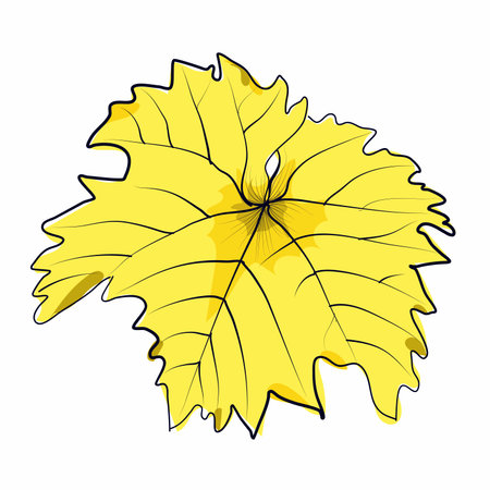 Hand drawn yellow grape leaf illustrationのイラスト素材