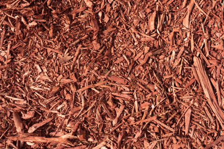 Texture of red mulch. Pieces of tree bark covered surface. Gardening and park work. Horizontal photoの写真素材