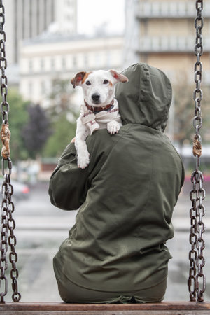 Jack Russell Terrier put its paws on the shoulder of its hooded girl. The dog and the owner are sitting on a swing overlooking the city. Pet with his owners on a rainy day.の写真素材
