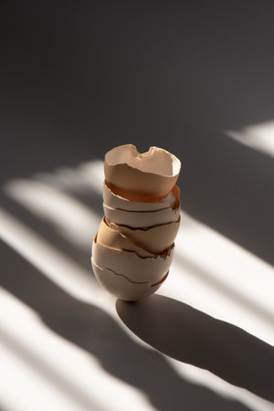 Stack of light brown eggshells in a spot of light. Vertical photo with backlight. High quality photo, natural lightの写真素材