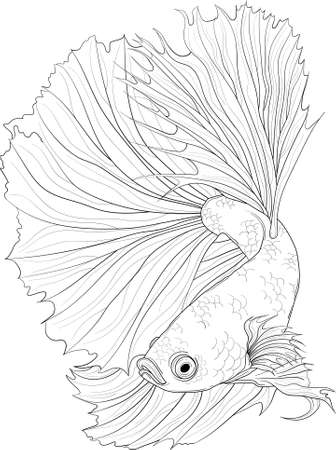 Realistic dragon fish. Fighting fish illustration. Koi fish in black and white for games, background, pattern, wallpaper, decor. Print for fabrics and other surfaces. Coloring paper, page, bookのイラスト素材
