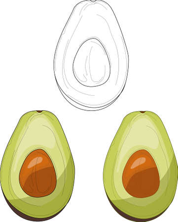 Realistic avocado halfs template set. Cartoon vector illustration in color and balck and white for games, wallpaper, decor. Print for fabric and other surfaces. Coloring paper, page, bookのイラスト素材