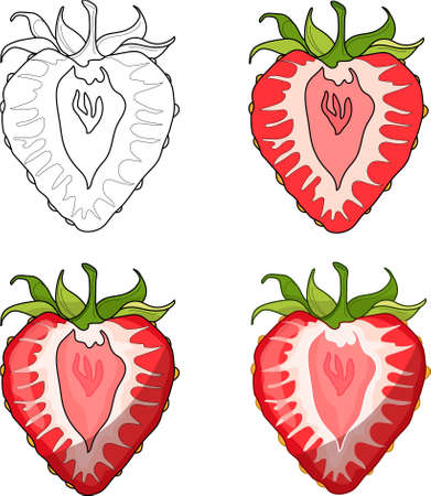 Realistic strawberry half slice template set. Cartoon vector illustration in color and black and white for games, pattern, decor. Print for fabrics and other surfaces. Coloring paper, page, bookのイラスト素材
