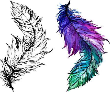 Realistic bird feather template set. Vector illustration in watercolor and black and white for games, background, pattern, decor. Coloring paper, page, book. Print for fabrics and other surfaces.のイラスト素材