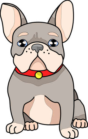 Cute realistic french bulldog with bright red collar template. Cartoon colorful pet vector illustration games, background, pattern, decor. Print for fabrics and other surfaces.のイラスト素材