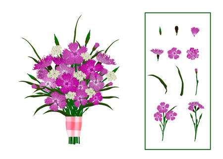 Vector illustration of bouquet of carnations, decorated with satin ribbon, with flower elements. Isolated on white background.のイラスト素材