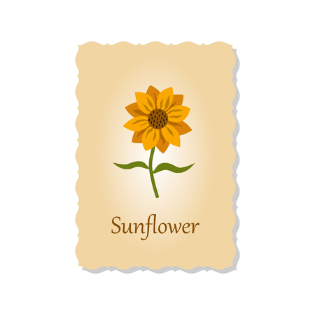 Vector illustration of greeting card with sunflowerのイラスト素材