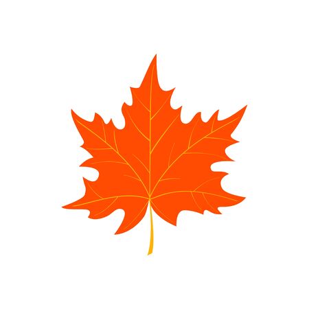 Autumn cartoon leaf isolated on white background. Vector illustrationのイラスト素材