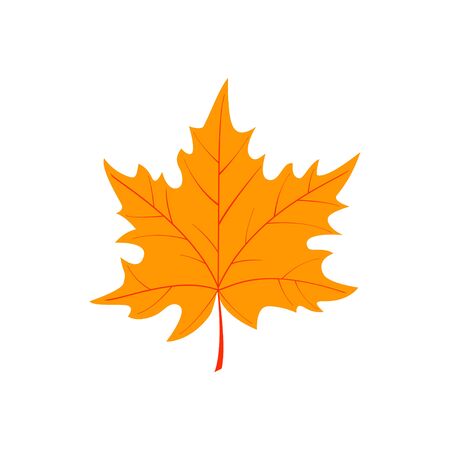Autumn cartoon leaf isolated on white background. Vector illustrationのイラスト素材