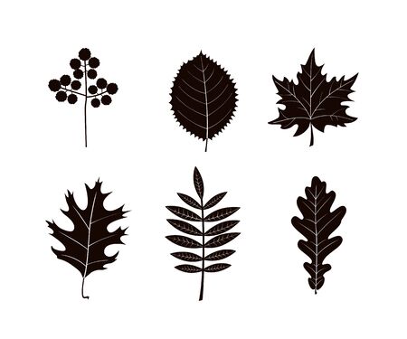 Autumn leaves silhouettes isolated on white background. Vector illustrationのイラスト素材