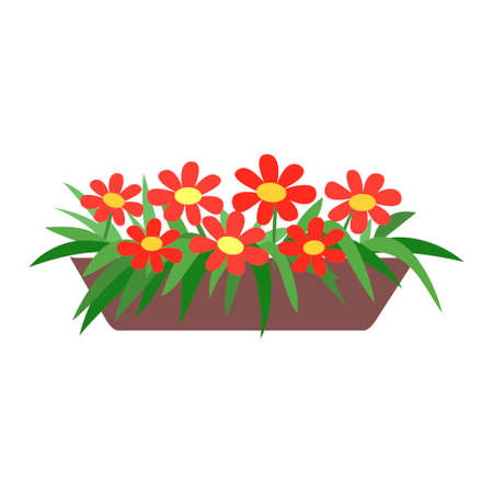 Pot of summer flowers. Cartoon flat styleのイラスト素材