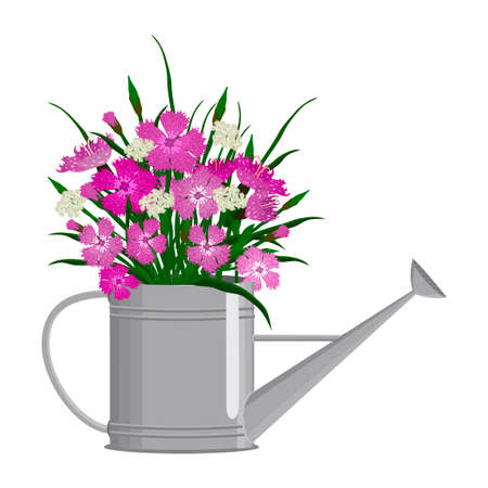 Galvanized watering can with bouquet of carnations. Cartoon flat styleのイラスト素材