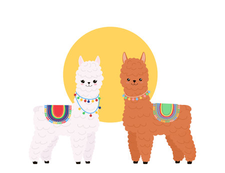 Cute llamas on white background. Funny kawaii characters of alpaca. cartoon flat style. illustrationの写真素材