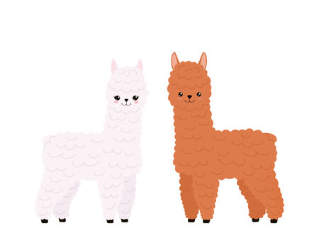 Cute two llamas on white background. Funny kawaii characters of alpaca. cartoon flat style. illustrationの写真素材