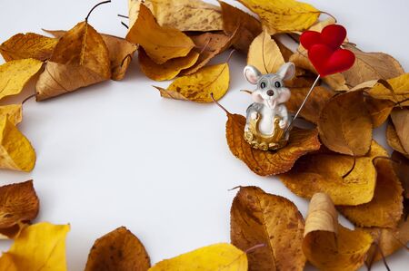 Year of the rat. Little mouse in the yellow leaves. Autumn. Luck. Horseshoe.Copy space for text or designの写真素材
