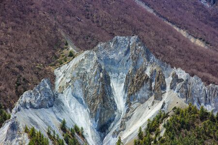 Mountains of Nepal. Mountain vegetation
