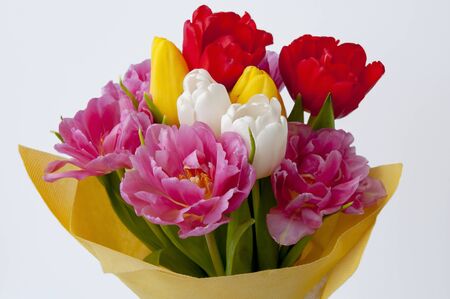 Beautiful bouquet of colorful tulips on a white background close-up.の写真素材