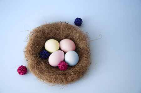 Easter eggs in a nest on a blue background. Copy space for text.の写真素材
