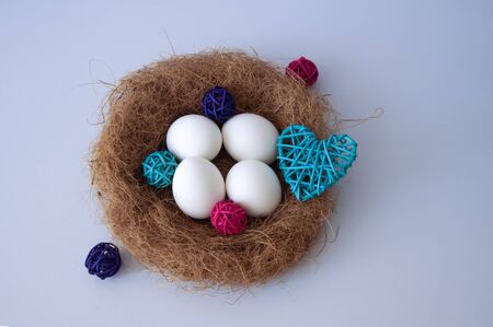 Easter eggs in a nest on a blue background. Copy space for textの写真素材