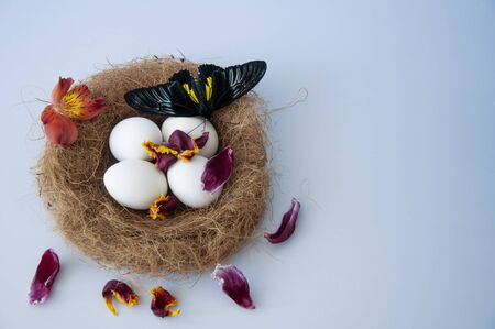 Easter eggs in a nest on a blue background. Copy space for text. Big beautiful butterflyの写真素材
