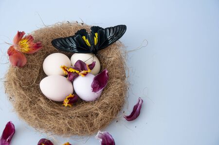 Easter eggs in a nest on a blue background. Copy space for text. Big beautiful butterflyの写真素材