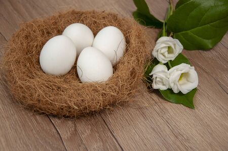 Eggs in a nest on a blue background.White flowers.の写真素材
