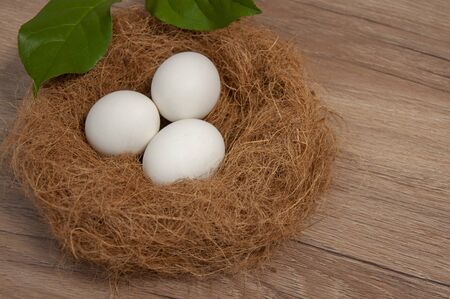 Eggs in a nest on a blue background.の写真素材