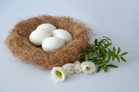 Eggs in a nest on a blue background.White flowers.Copy space for textの写真素材