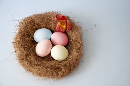 Easter eggs in a nest on a blue background. Copy space for textの写真素材