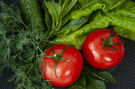 Vegetables on a plate. Tomatoes, lettuce, cucumbers, dill. Healthy nutrition, vegetarianism, vitamins.の写真素材