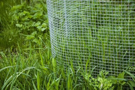 Metal grid in green grass close-upの写真素材
