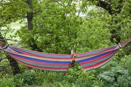 Striped old torn hammock in the summer in the gardenの写真素材