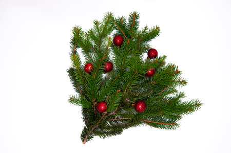 Christmas branch of a natural tree with red balls on a white background close-up. Isolate.の写真素材